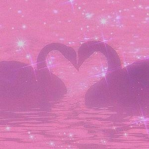 Meet your Posher, Desi